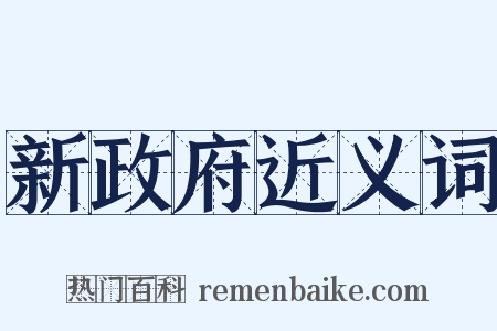 新政府近义词是什么意思的图片